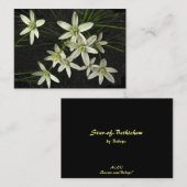 Ster van Bethlehem ATC Visitekaartje (Voorkant / Achterkant)