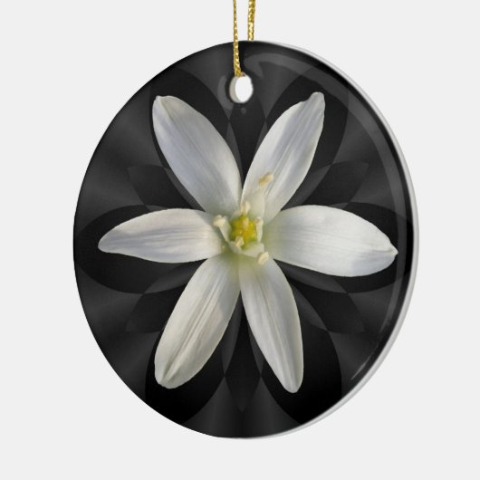 Ster van Bethlehem-bloem ~ sieraar Keramisch Ornament (Links)