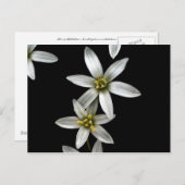 Ster van Bethlehem Briefkaart (Voorkant / Achterkant)