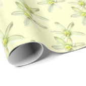 Ster van Bethlehem Cadeaupapier (Rol Hoek)