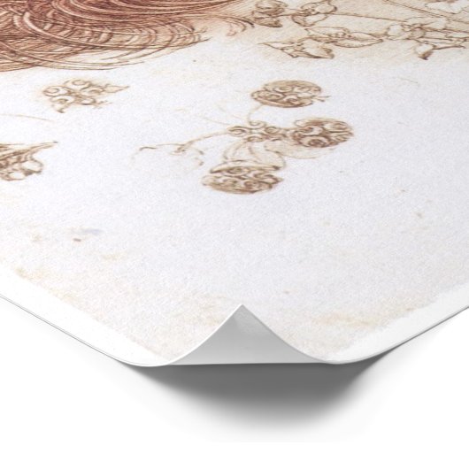 Ster van Bethlehem en andere Planten, Da Vinci Poster (Hoek)