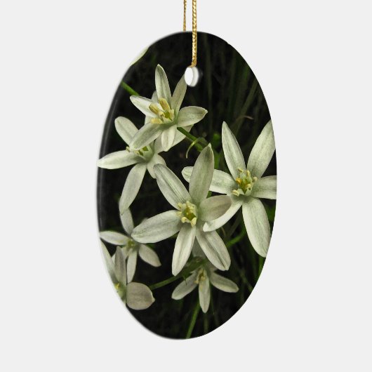 Ster van Bethlehem Keramisch Ornament (Rechts)