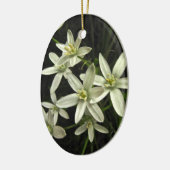 Ster van Bethlehem Keramisch Ornament (Links)