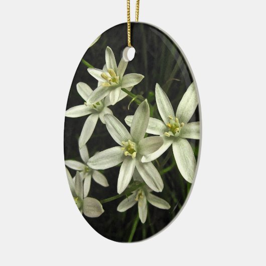 Ster van Bethlehem Keramisch Ornament (Links)