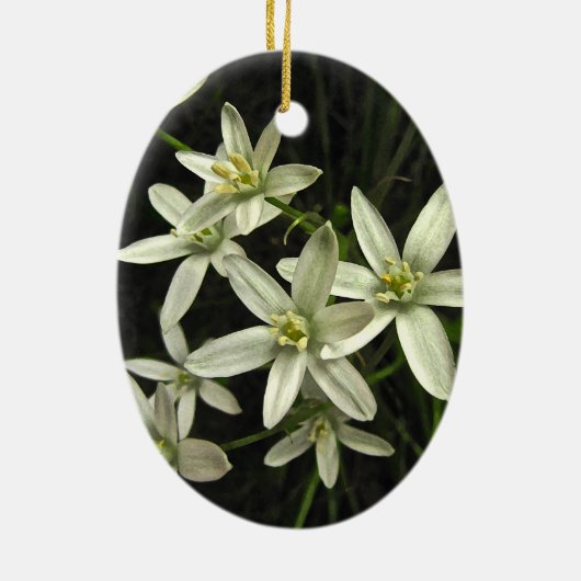 Ster van Bethlehem Keramisch Ornament (Achterkant)