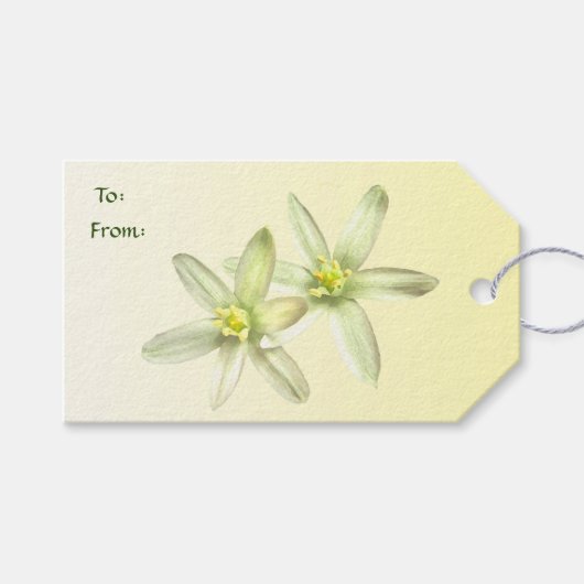 Ster van Bethlehem Pack met Gift Labels Cadeaulabel (Voorkant (Horizontaal))