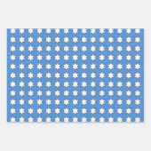 Ster van David Floral Chanoeka Set Inpakpapier Vel (Voorkant 3)