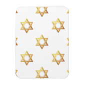 Ster van David Magneet (Verticaal)