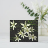 Ster van het Briefkaart van Bethlehem (Staand voorkant)