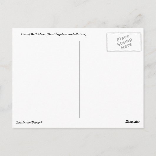 Ster van het Briefkaart van Bethlehem (Achterkant)