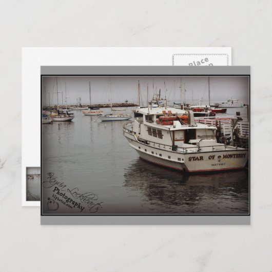 Ster van Monterey Briefkaart (Voorkant / Achterkant)