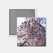 "Ster van Perzië II" Magneet (Voorkant / Achterkant)