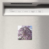 "Ster van Perzië II" Magneet (Insitu (Vaatwasser))