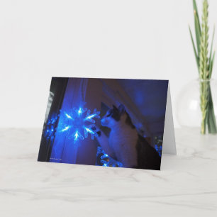 Ster van Wonder Feestdagen Kaart