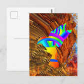 Ster Vogel Ansichtkaart Briefkaart (Voorkant / Achterkant)