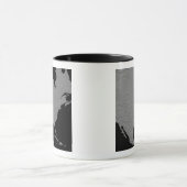 Stereoscopisch uitzicht van Noord-Amerika 2 Mok (Midden)