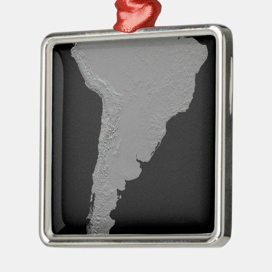 Stereoscopisch uitzicht van Zuid-Amerika Metalen Ornament (Links)