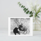 Stereoview - Baby in Sled Briefkaart (Staand voorkant)