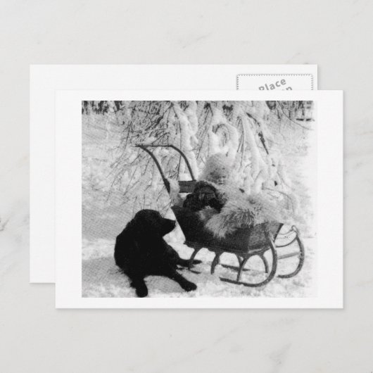 Stereoview - Baby in Sled Briefkaart (Voorkant / Achterkant)