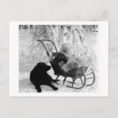  Stereoview - Baby in Sled Briefkaart (Voorkant)