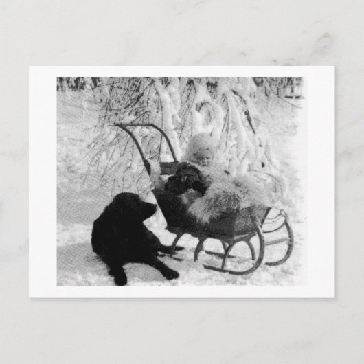 Stereoview - Baby in Sled Briefkaart (Voorkant)