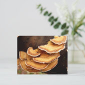 Stereum Hirsutum Fungi Briefkaart (Staand voorkant)