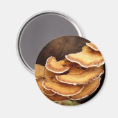 Stereum Hirsutum Mushroom Magnet (Voorkant / Achterkant)