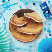 Stereum Hirsutum Schimmels Papier Borden Papieren Bordje (Feest)