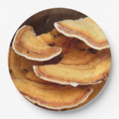 Stereum Hirsutum Schimmels Papier Borden Papieren Bordje (Voorkant)