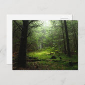 Sterf bos briefkaart (Voorkant / Achterkant)