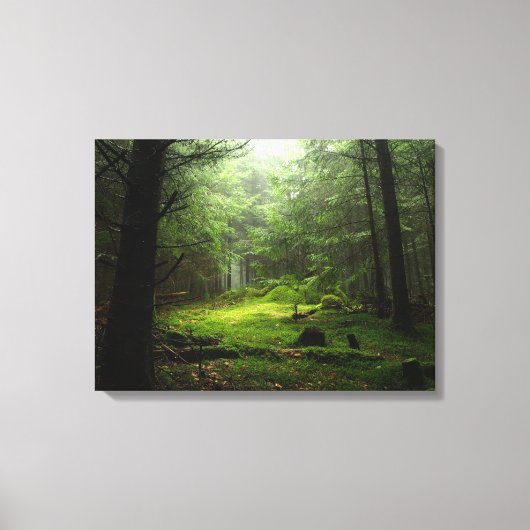 Sterf bos canvas afdruk (Voorkant)