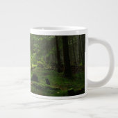Sterf bos grote koffiekop (Rechts)