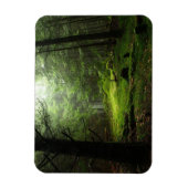 Sterf bos magneet (Verticaal)