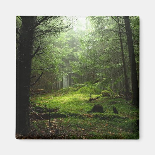 Sterf bos magneet (Voorkant)