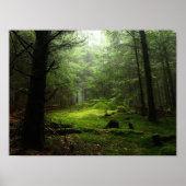 Sterf bos poster (Voorkant)