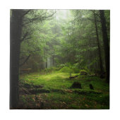 Sterf bos tegeltje (Voorkant)