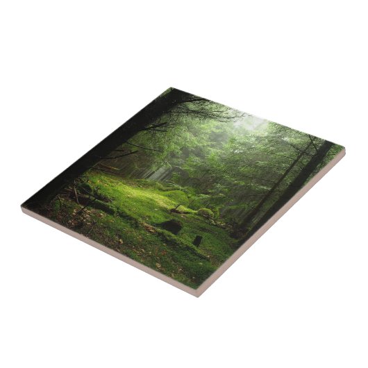 Sterf bos tegeltje (Zijkant)