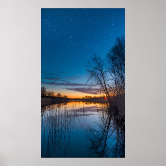 Sterfelijk schemerlicht boven het moeras poster (Voorkant)