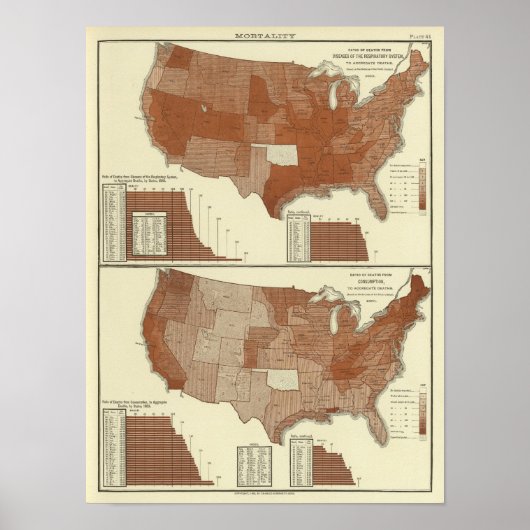 Sterfgevallen, ademhalingsstelsel, consumptie poster (Voorkant)