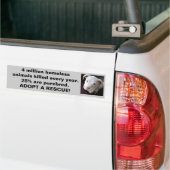 Steriliseer Castreren Adopteer bumpersticker (Op Truck)