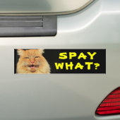 Steriliseer Wat? Grappige Kat Meme Bumpersticker (Op auto)