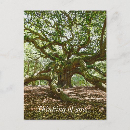 Sterk en vaag denken aan je Briefkaart (Voorkant)