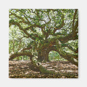 Sterk en vet magneet (Voorkant)