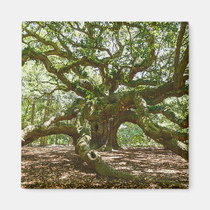 Sterk en vet magneet