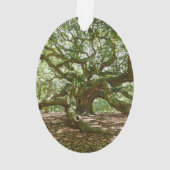 Sterk en vet ornament (achterkant)