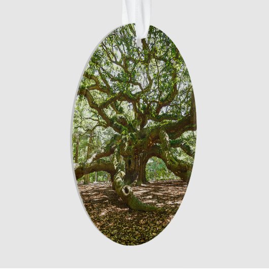 Sterk en vet ornament (voorkant)