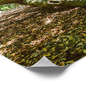 Sterk en vet poster (Hoek)