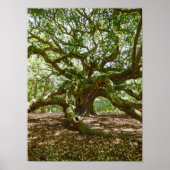 Sterk en vet poster (Voorkant)