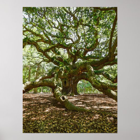 Sterk en vet poster (Voorkant)