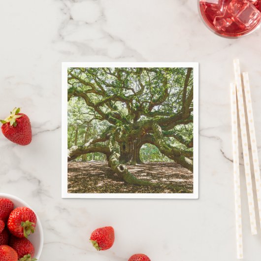 Sterk en vet servetten (Insitu)